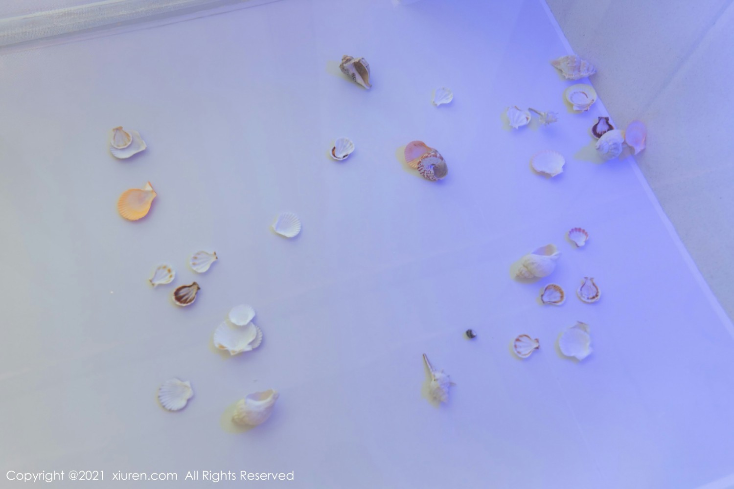 [XiuRen秀人网]No4103允爾-[秀人套图]