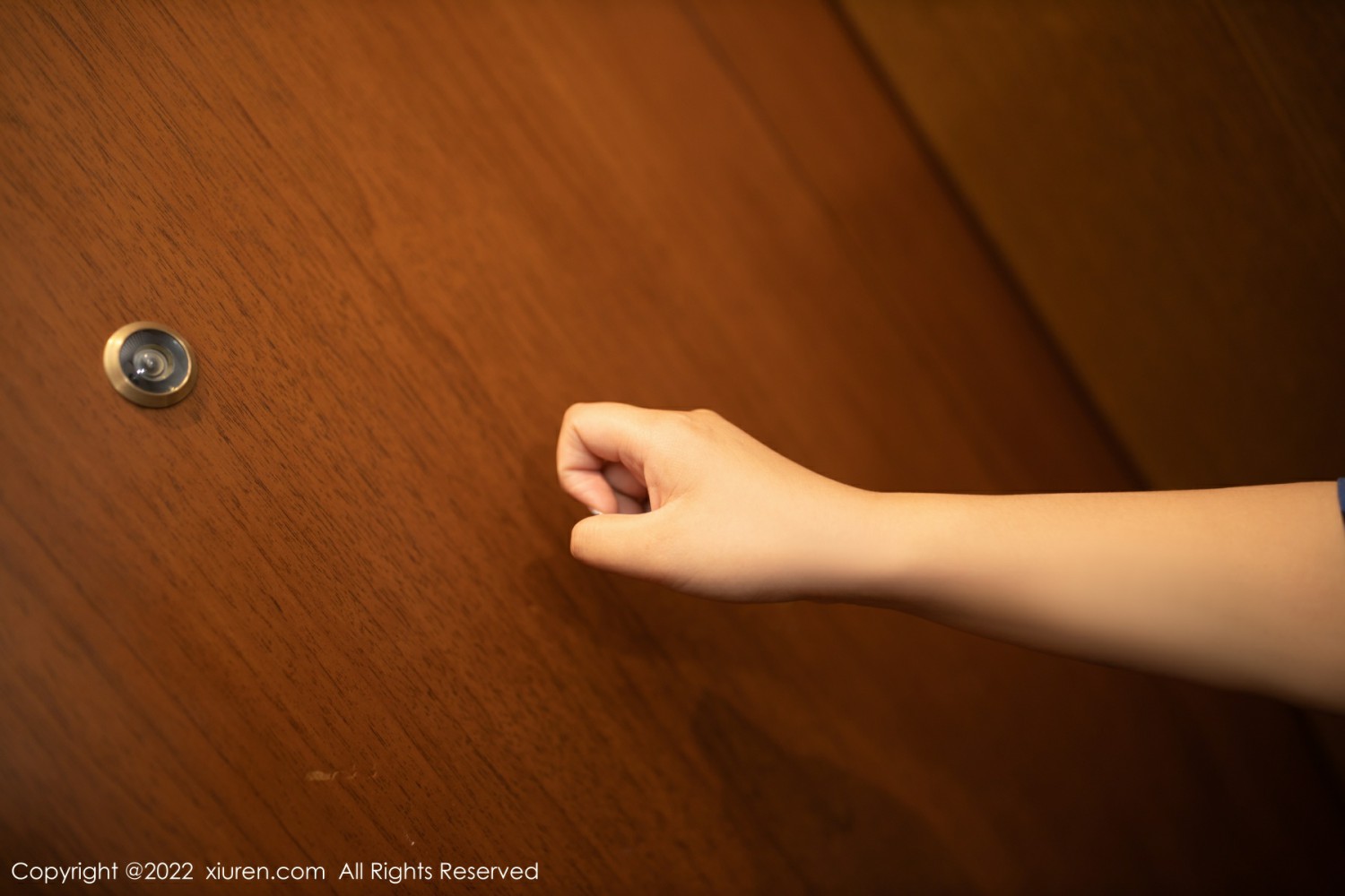 [XiuRen秀人网]No4497鱼子酱Fish老板的寂寞-[秀人套图]