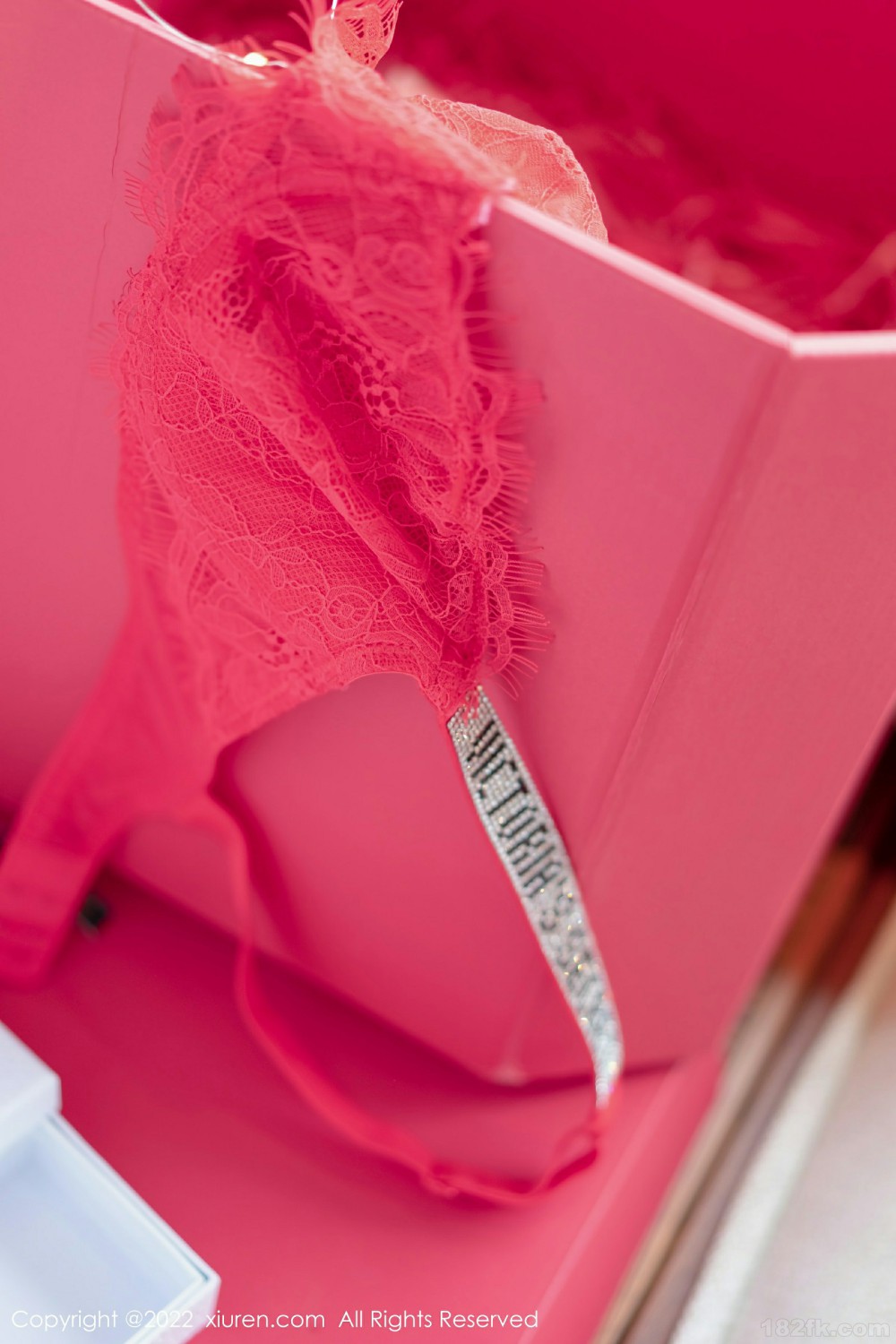 [XiuRen秀人网]No4580允爾情人节写真-[秀人套图]