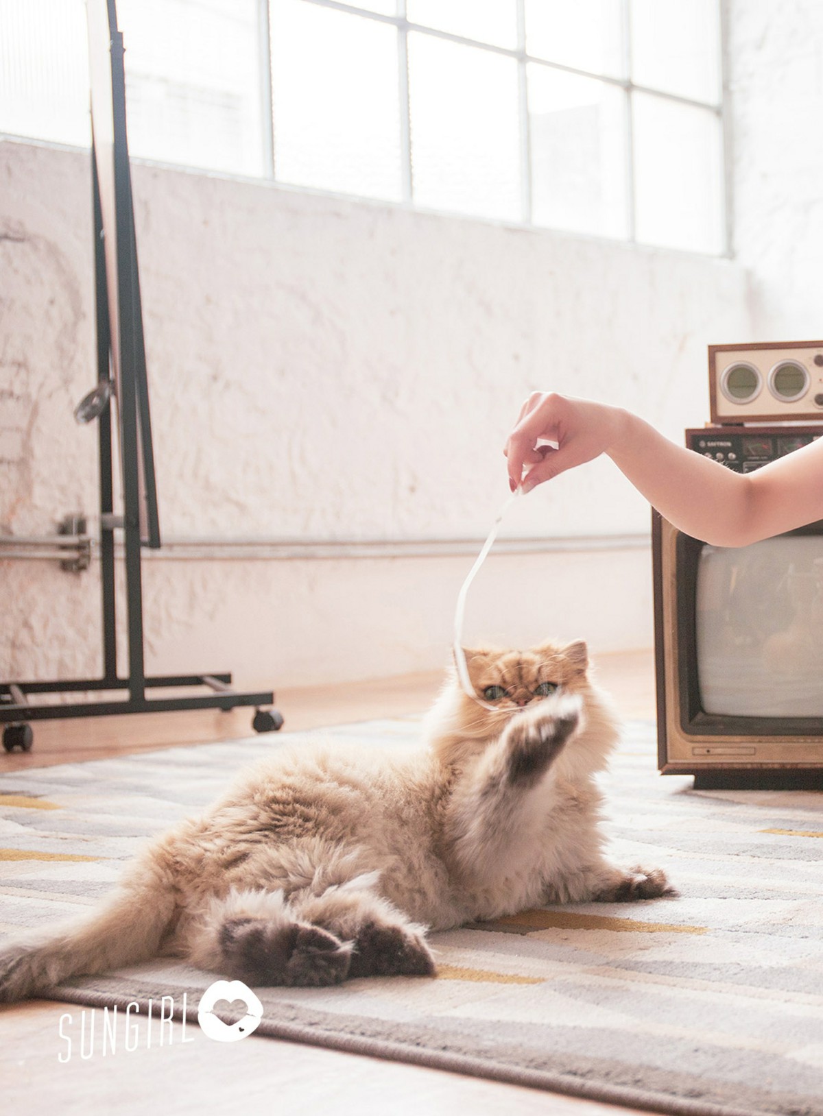 [SUNGIRL阳光宝贝]NO009黑色诱惑！蔓蔓宠爱你写真黄蔓蔓Irenea-COSPLAY