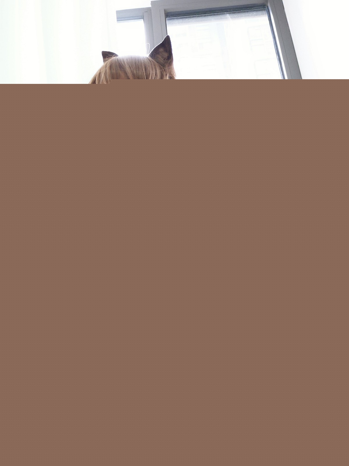 一小央泽–明日方舟（天火）-COSPLAY