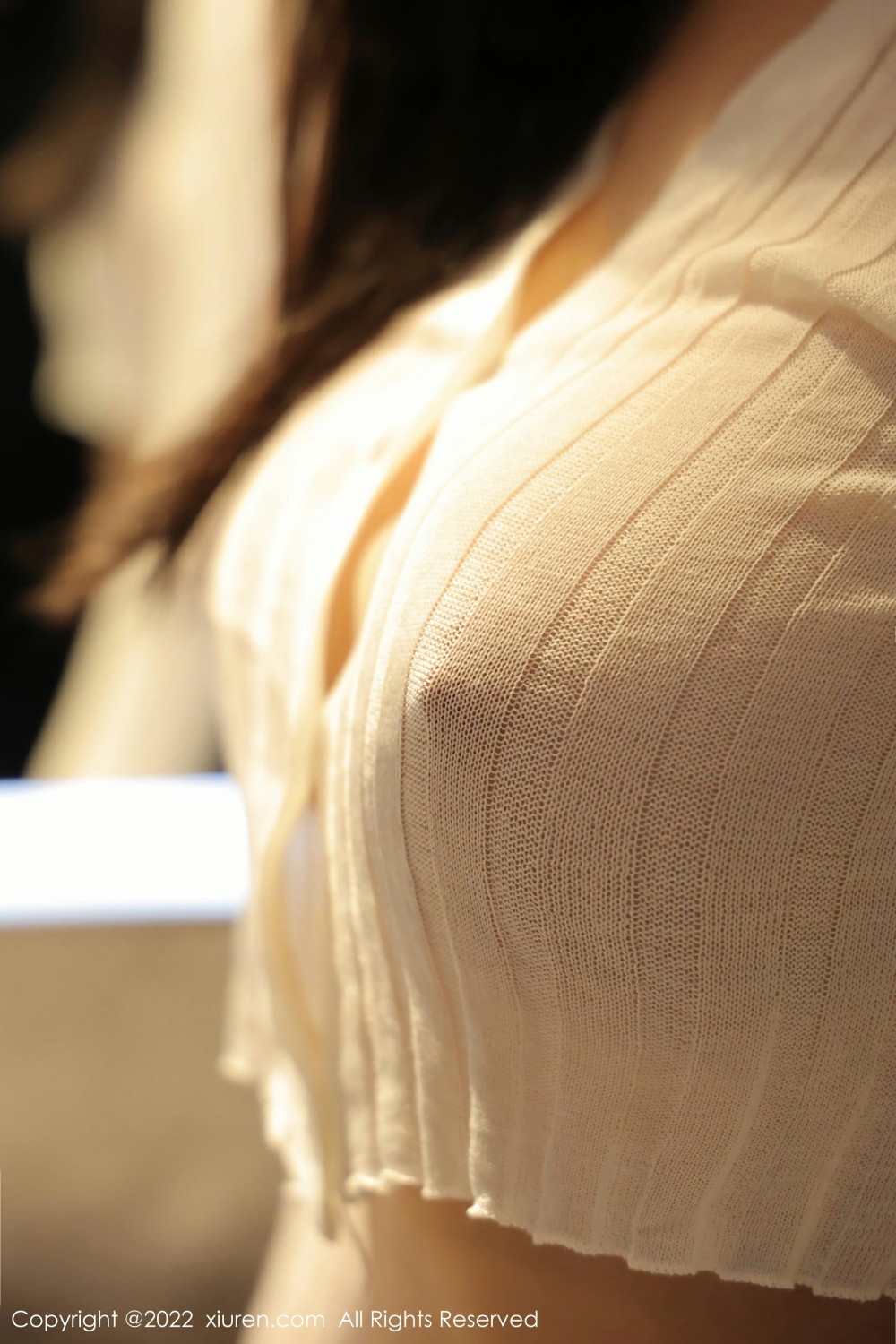 [XiuRen秀人网]No4737顾乔楠Cora透明纱衣-[秀人套图]