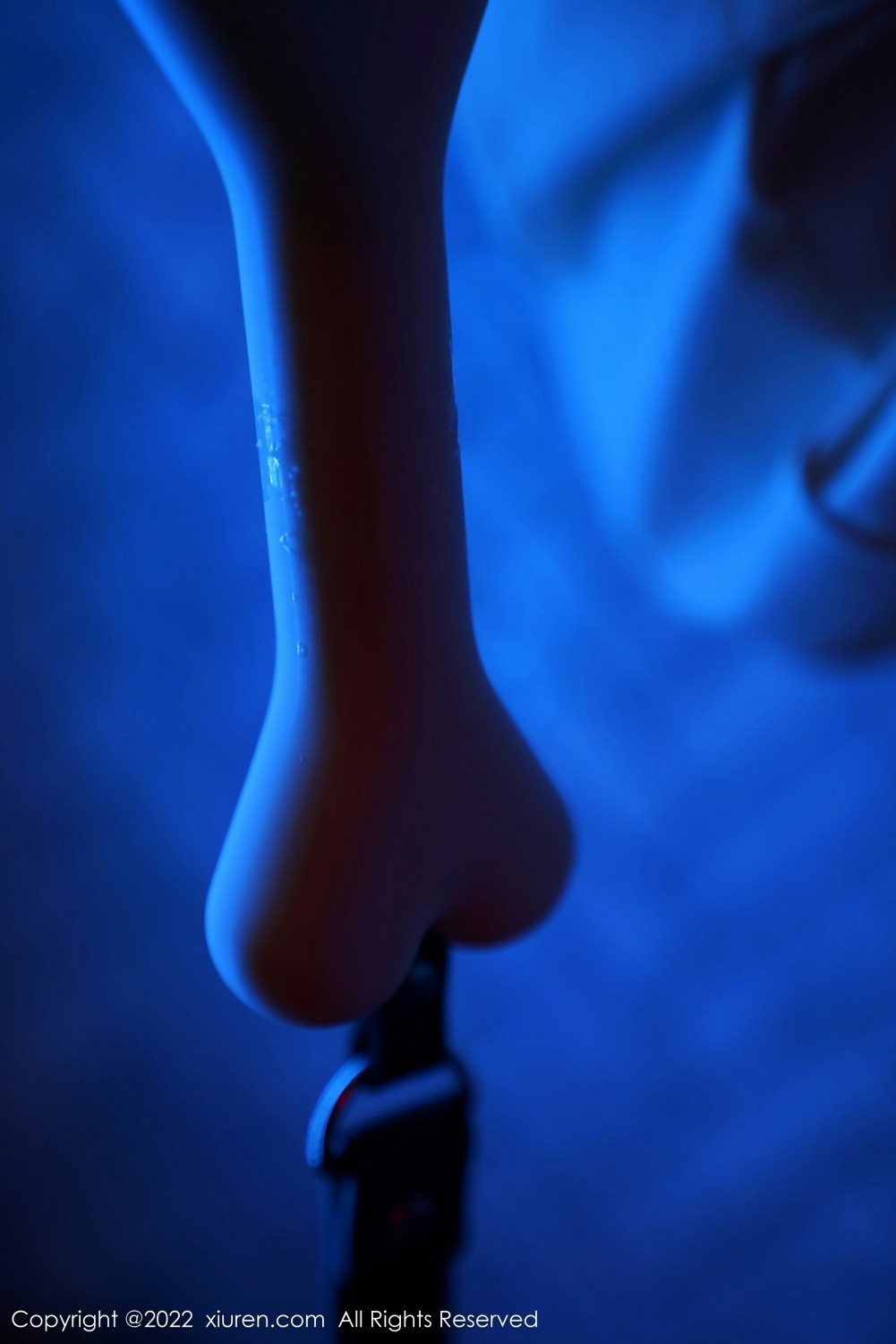 [XiuRen秀人网]20220510No4986仓井优香-[秀人套图]