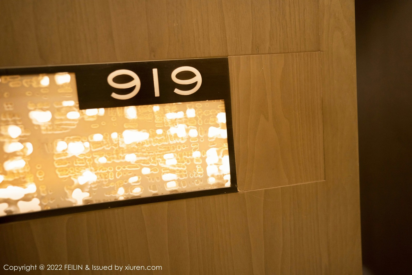 [FEILIN嗲囡囡]20220627VOL450小蛮妖Yummy-[秀人套图]