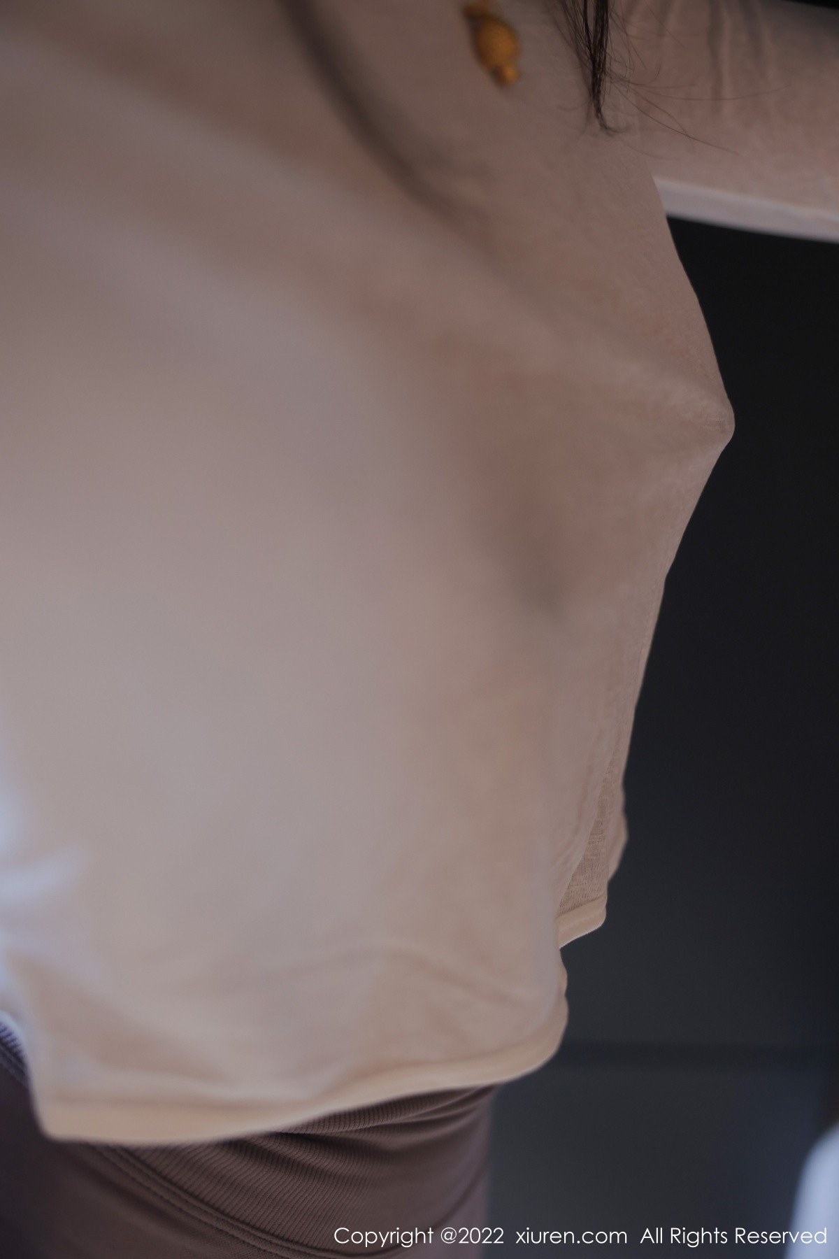 【XiuRen秀人網】20221103Vol5799蘇蘇阿【93P】-[秀人套图]