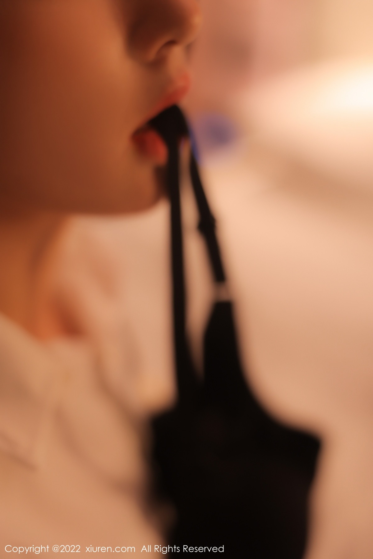 【XiuRen秀人網】20221107Vol5815美羊羊【79P】-[秀人套图]