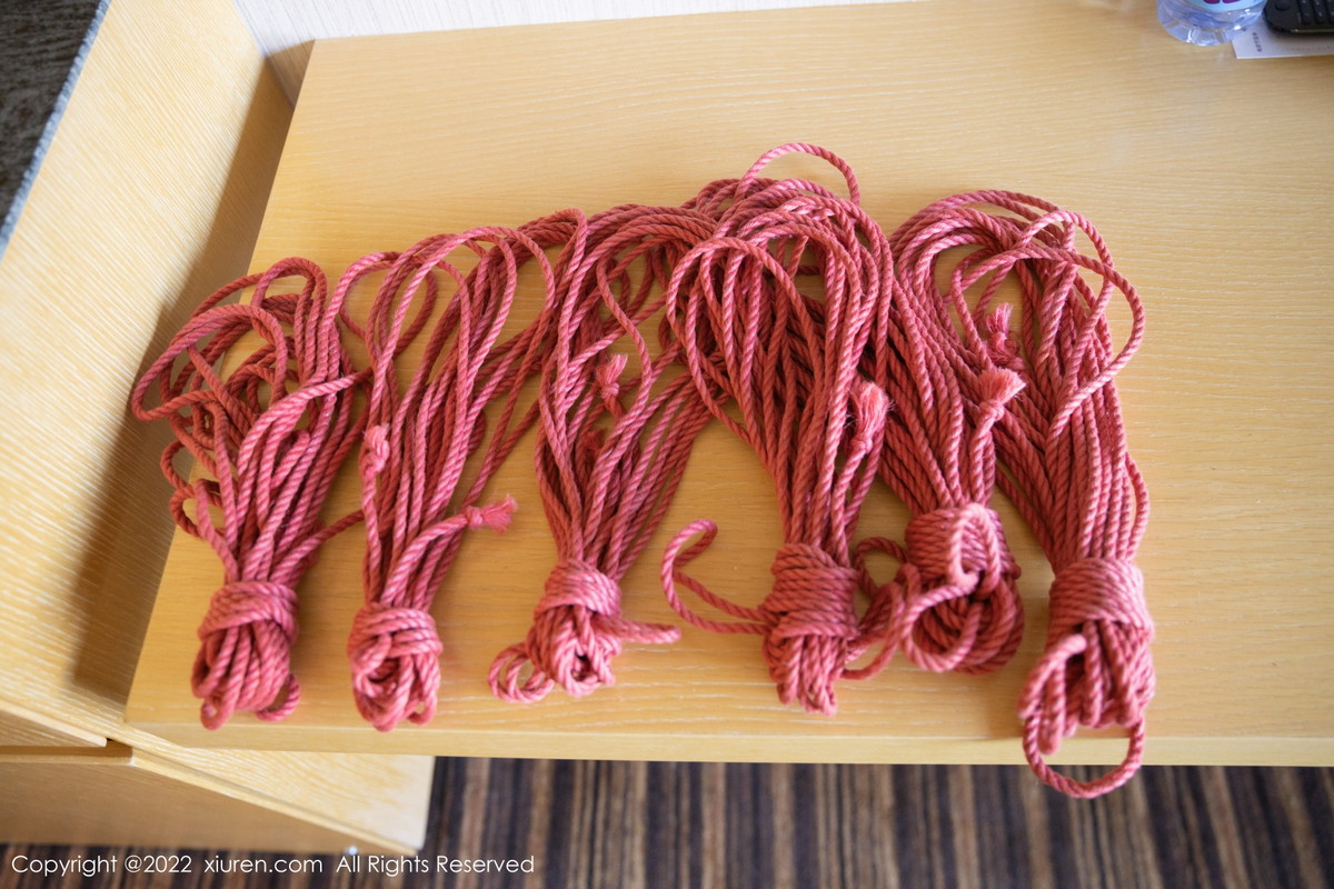 【XiuRen秀人網】20221125Vol5910就是阿朱啊【79P】-[秀人套图]