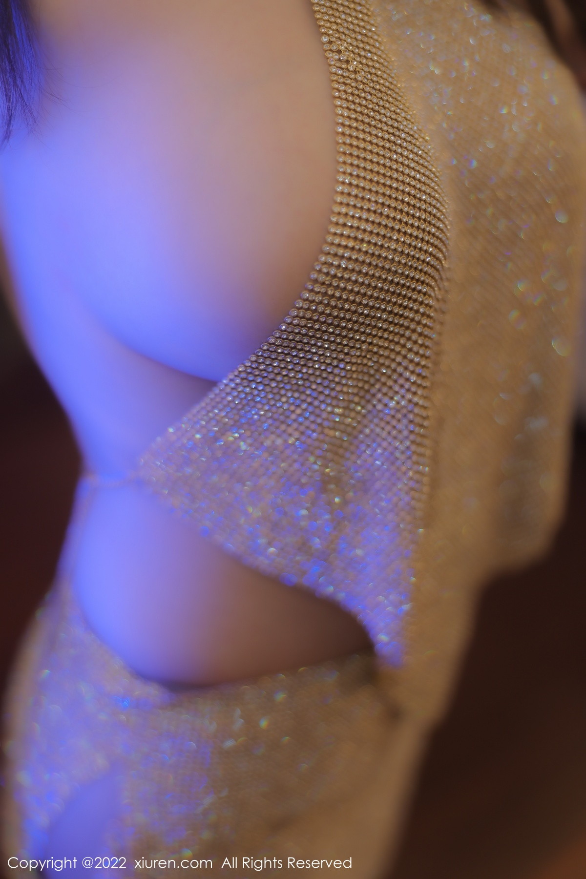 【XiuRen秀人網】20221226Vol6044朱可兒Flora【74P】-[秀人套图]