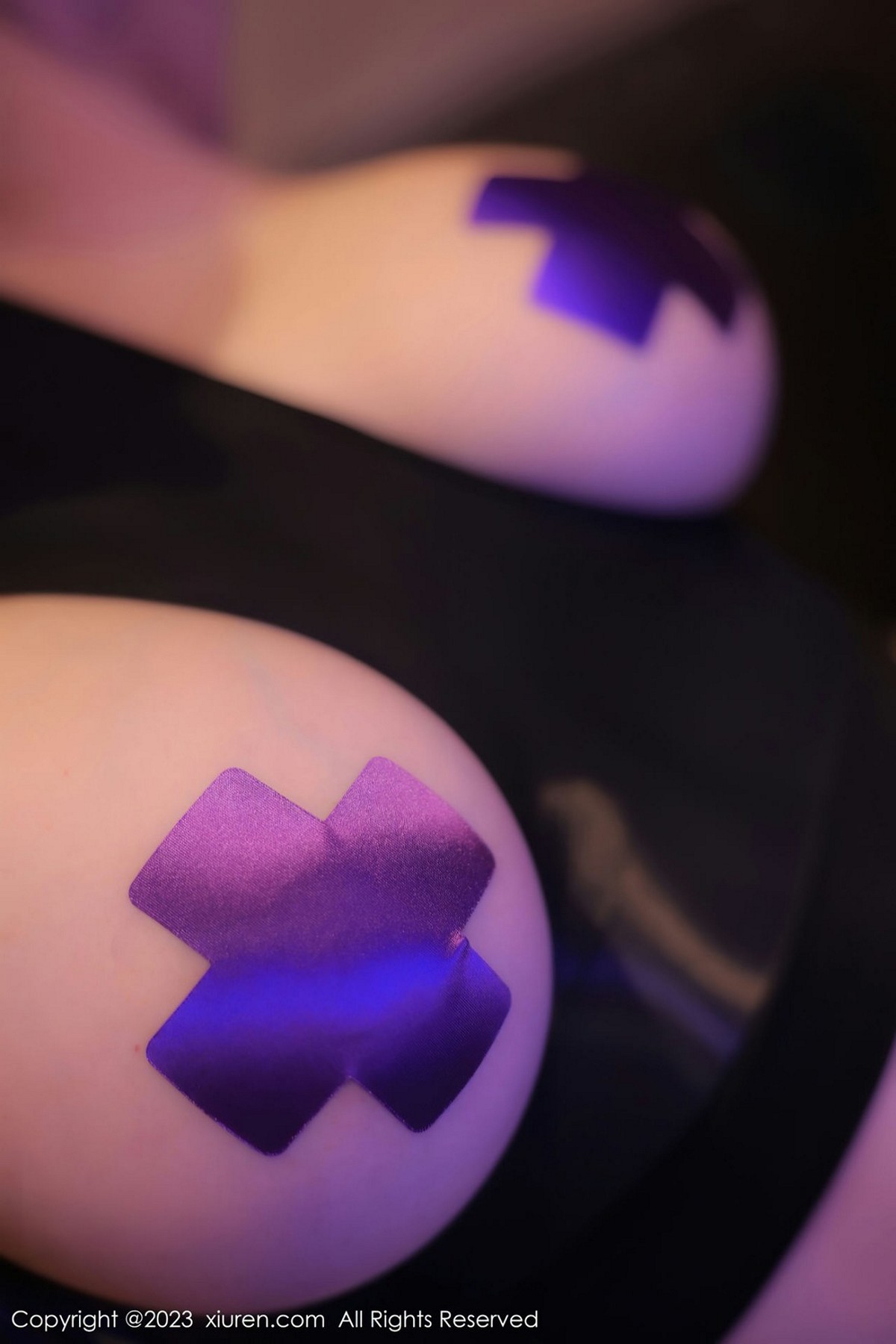 【XiuRen秀人網】20230117Vol6143田冰冰【74P】-[秀人套图]