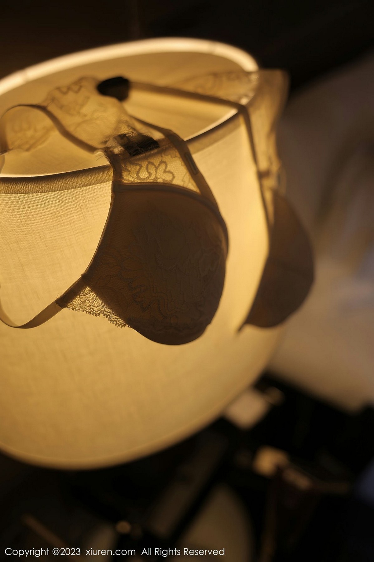 【XiuRen秀人網】20230220Vol6290yoo優優【84P】-[秀人套图]