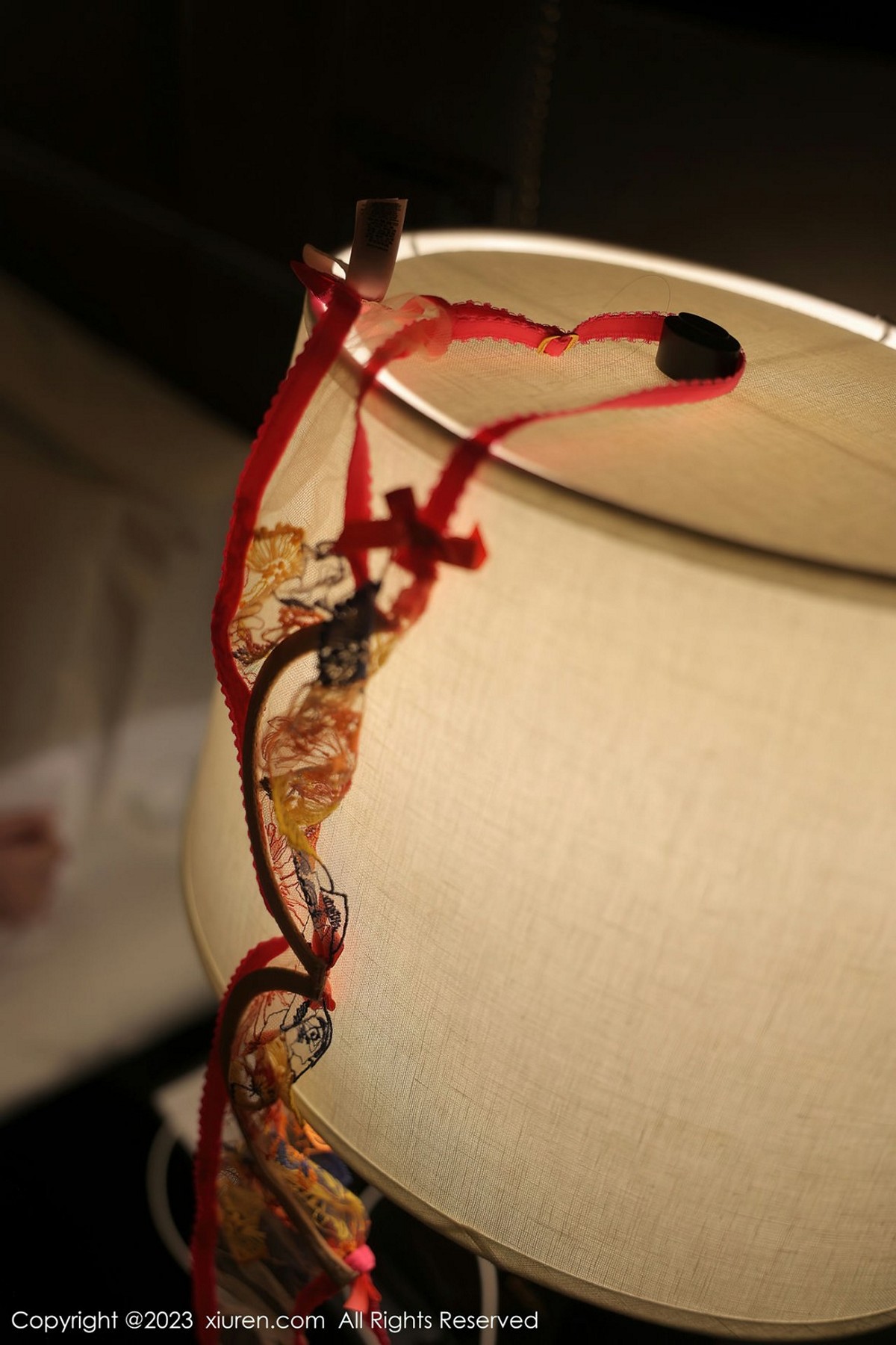 【XiuRen秀人網】20230224Vol6317林珊珊【105P】-[秀人套图]