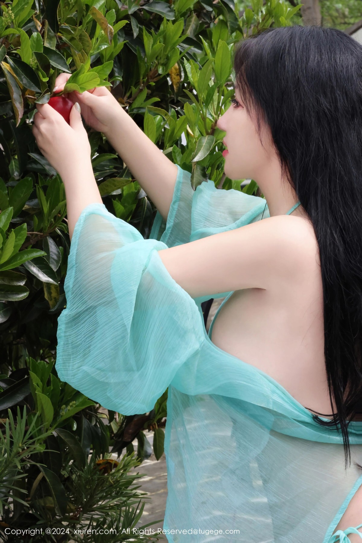 【XiuRen秀人網】20240412Vol8386小薯條nienie【85P】-[秀人套图]