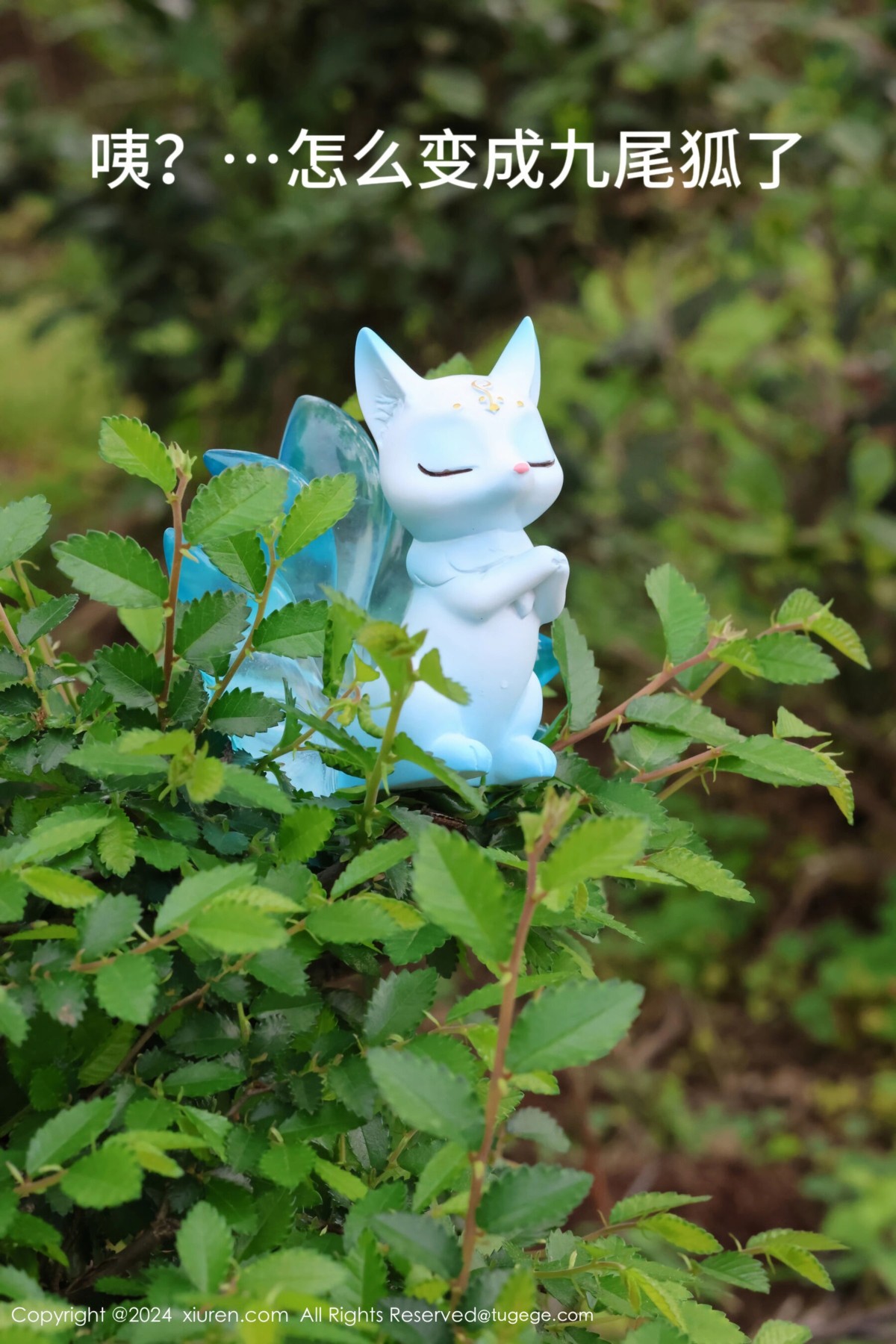 【XiuRen秀人網】20240412Vol8386小薯條nienie【85P】-[秀人套图]