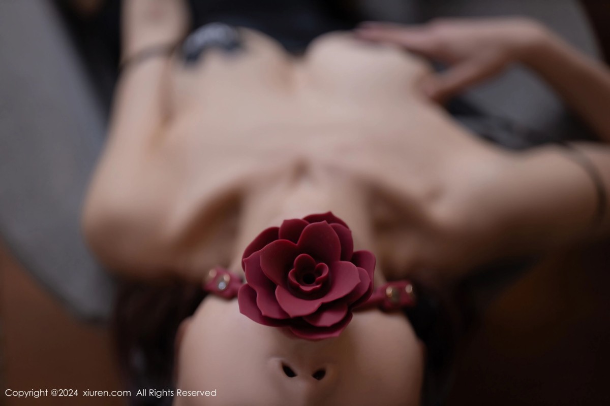 【XiuRen秀人網】20240425Vol8452陸萱萱【79P】-[秀人套图]