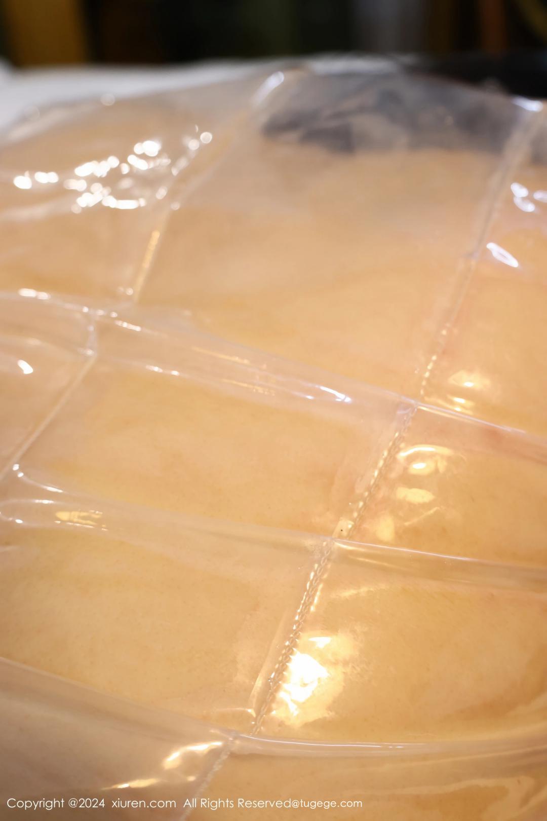 【XiuRen秀人網】20240510Vol8517小薯條nienie【77P】-[秀人套图]