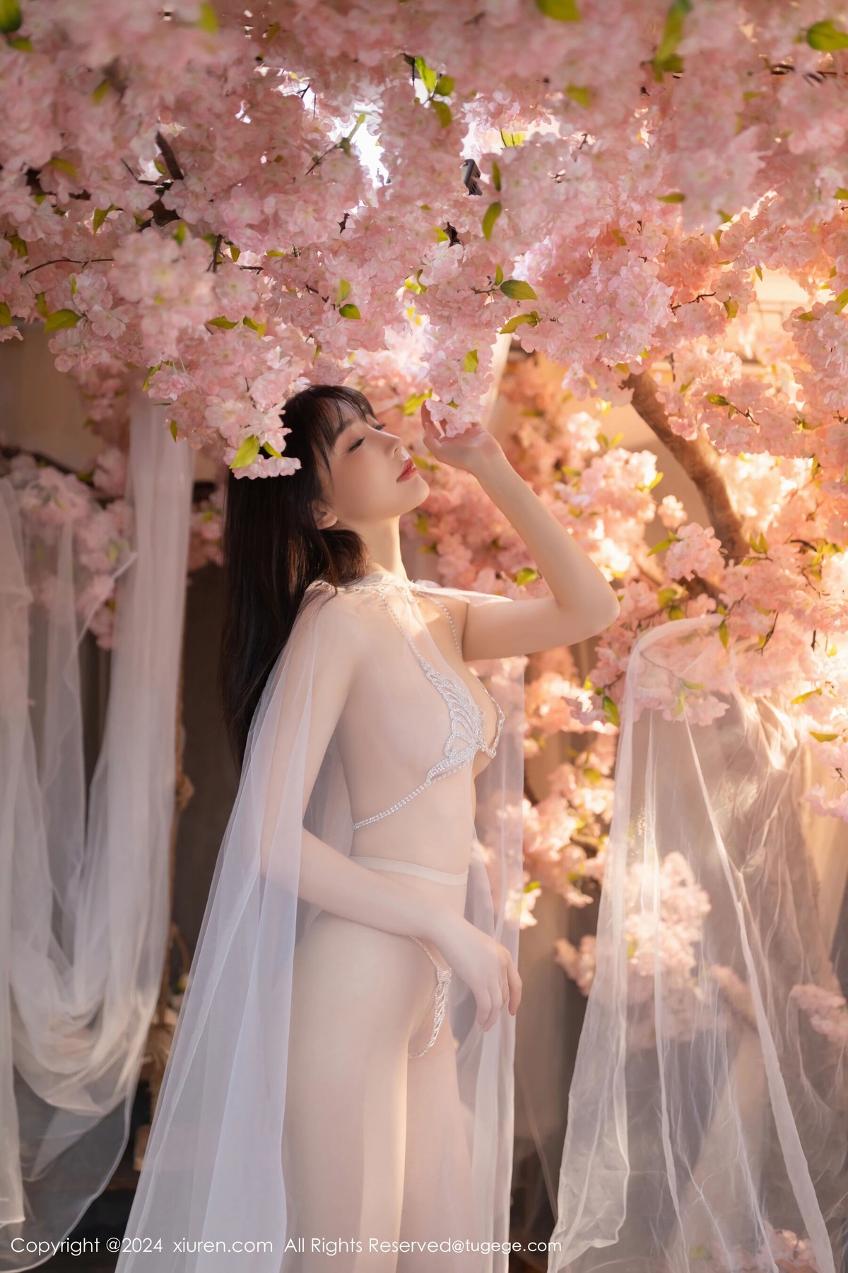 【XiuRen秀人網】20240704Vol8807陸萱萱【80P】-[秀人套图]