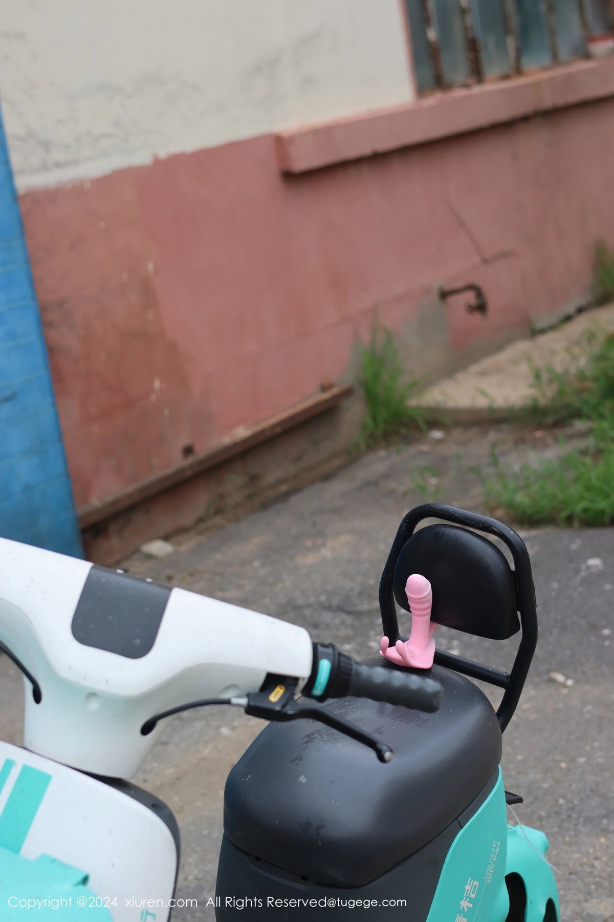 【XiuRen秀人網】20240816Vol9024小薯條nienie【89P】-[秀人套图]