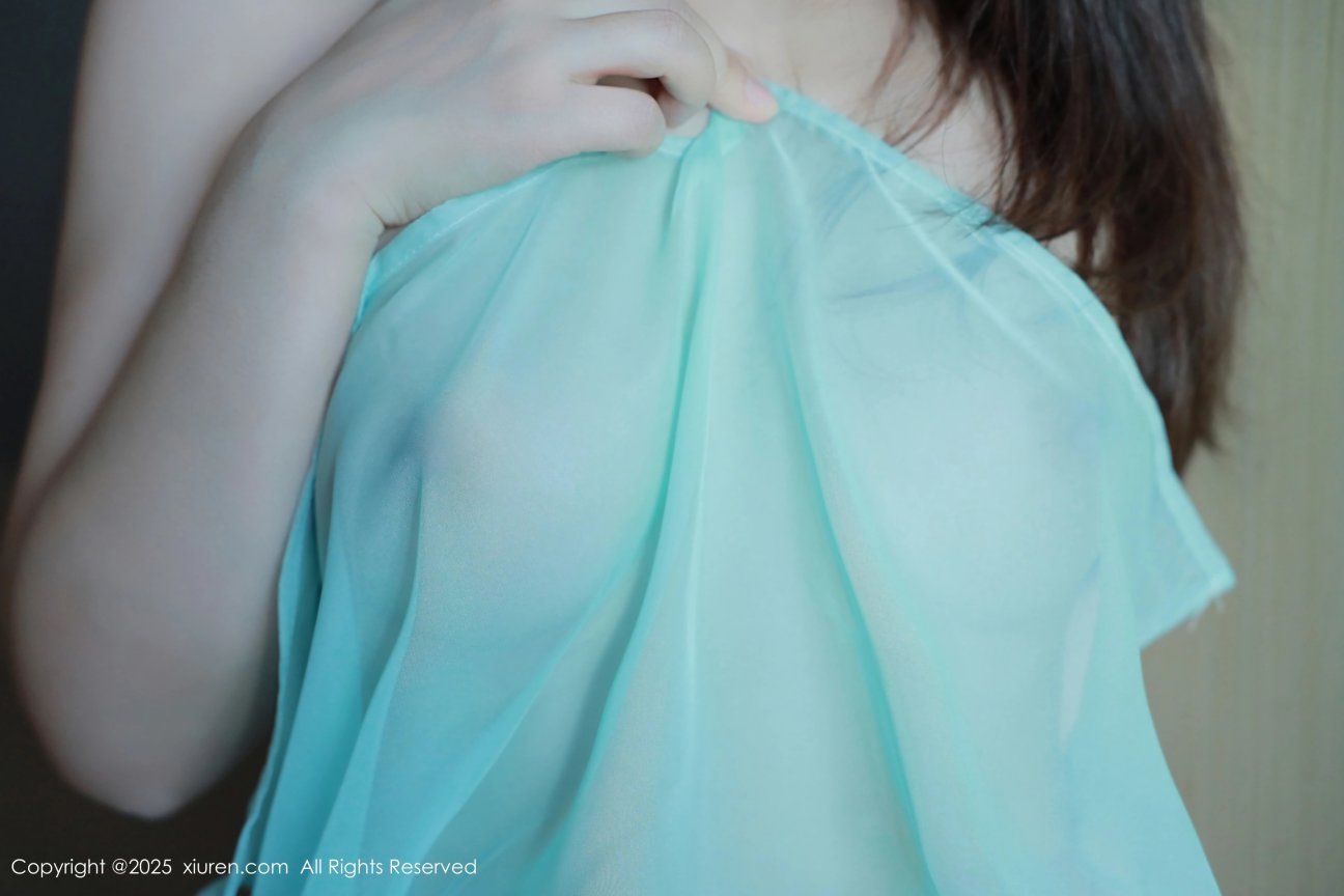 【XIUREN秀人網】20250124Vol9807Evelyn艾莉【92P】-[秀人套图]