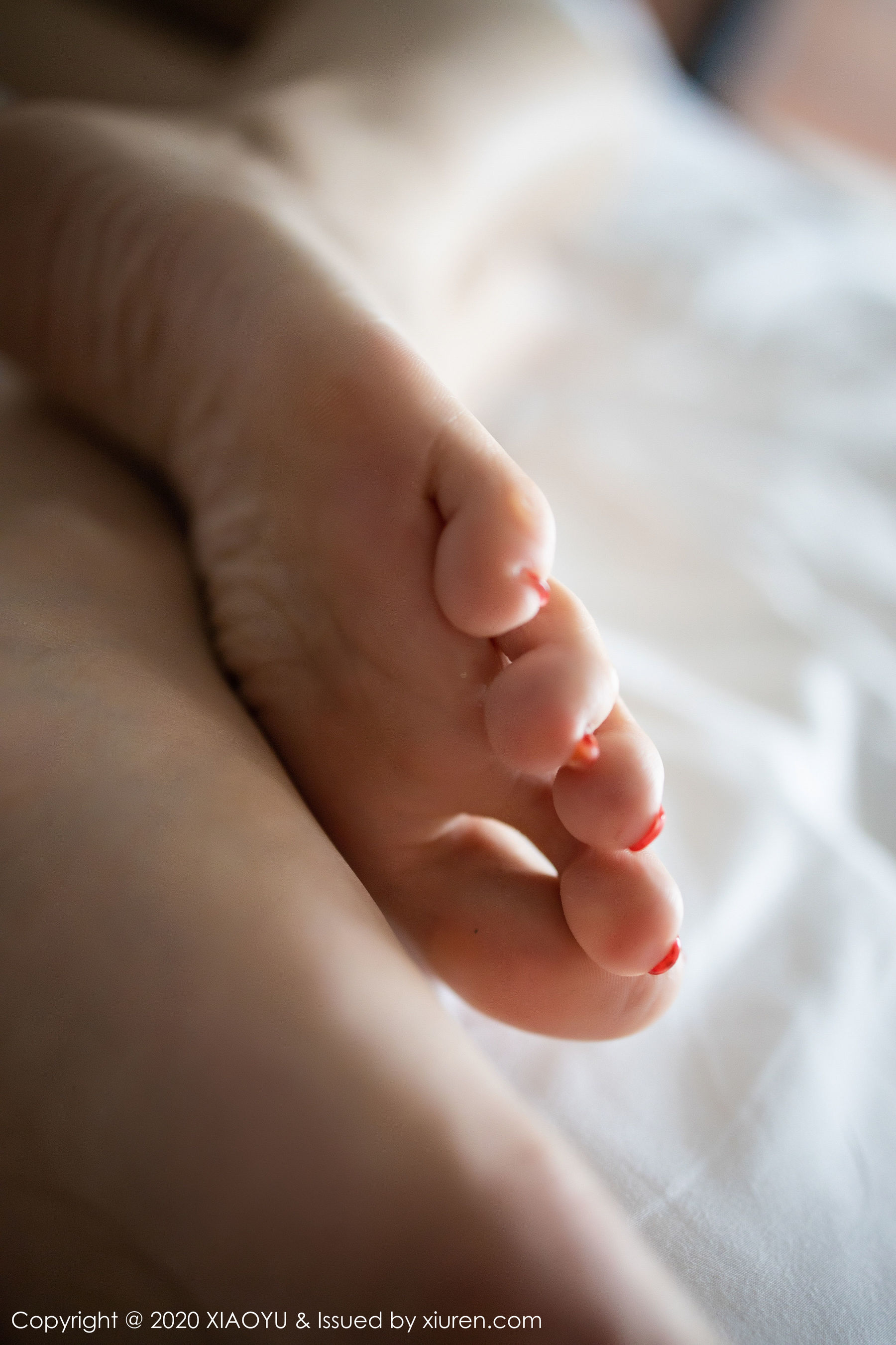 [语画界XIAOYU]Vol259顾乔楠-[秀人套图]