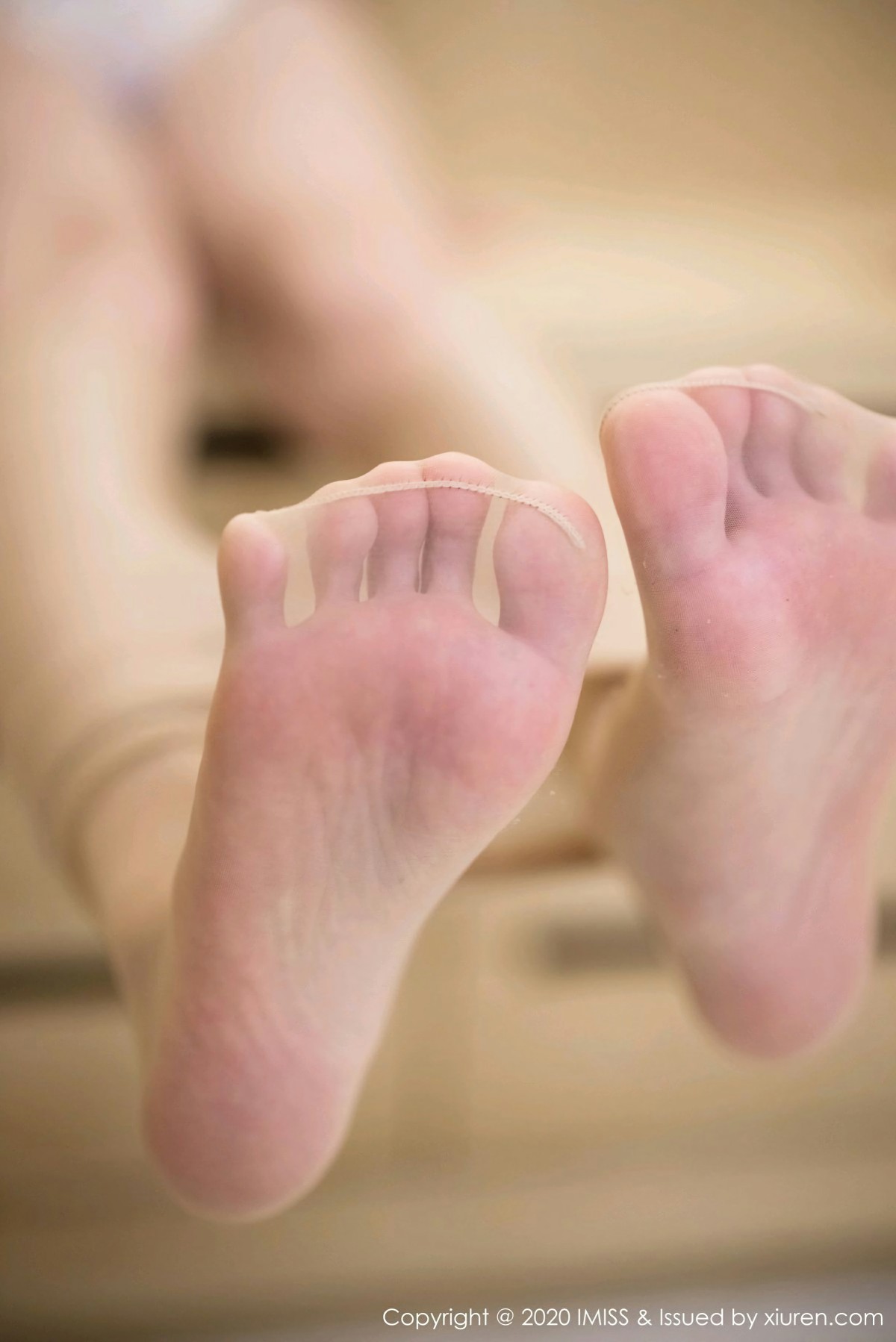 [IMISS爱蜜社]20201014VOL510九月生--[秀人套图]