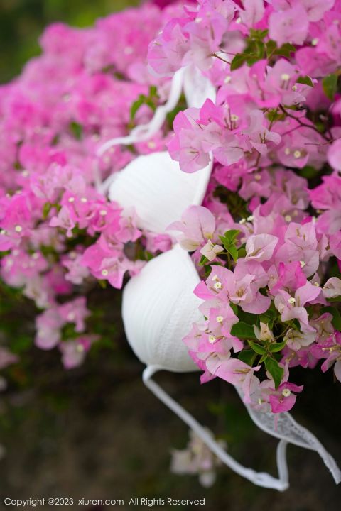 【XiuRen秀人網】20230303Vol6359laura阿姣【68P】-XIUREN秀人网