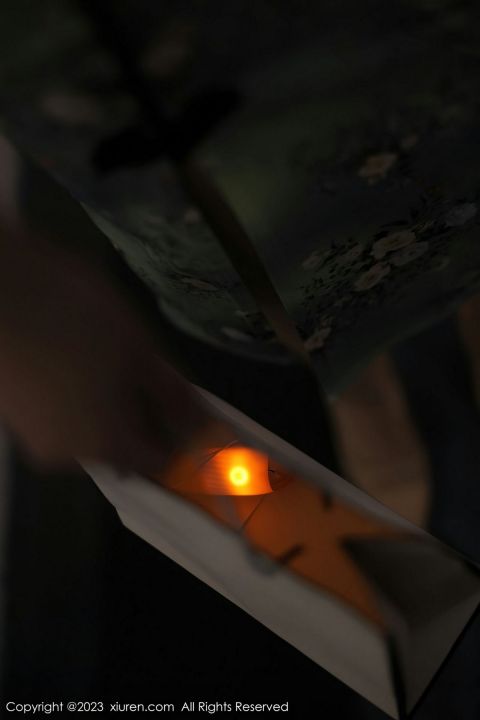 【XiuRen秀人網】20230324Vol6464Arude薇薇【69P】-XIUREN秀人网