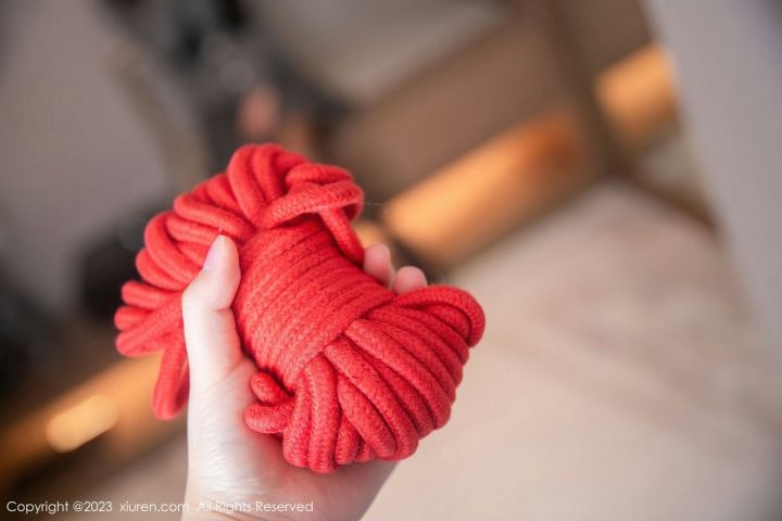 【XiuRen秀人網】20230329Vol6495譚小靈【80P】-XIUREN秀人网