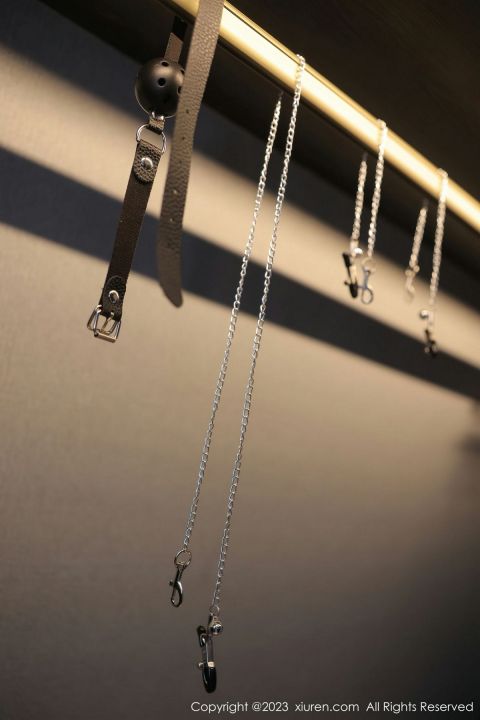 【XiuRen秀人網】20230330Vol6500江真真【80P】-XIUREN秀人网