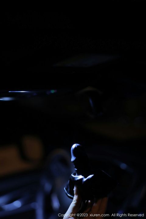 【XiuRen秀人網】20230427Vol6650江真真【88P】-XIUREN秀人网