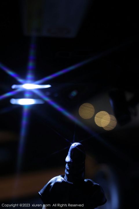 【XiuRen秀人網】20230427Vol6650江真真【88P】-XIUREN秀人网