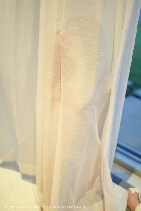 【XiuRen秀人網】20230512Vol6729laura阿姣【66P】-XIUREN秀人网