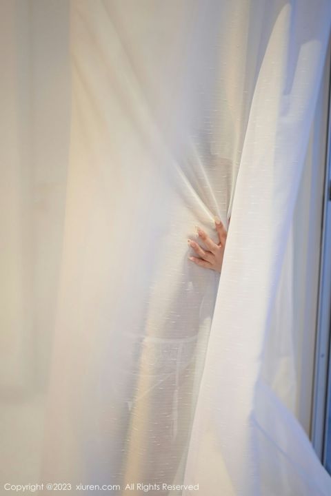 【XiuRen秀人網】20230512Vol6729laura阿姣【66P】-XIUREN秀人网