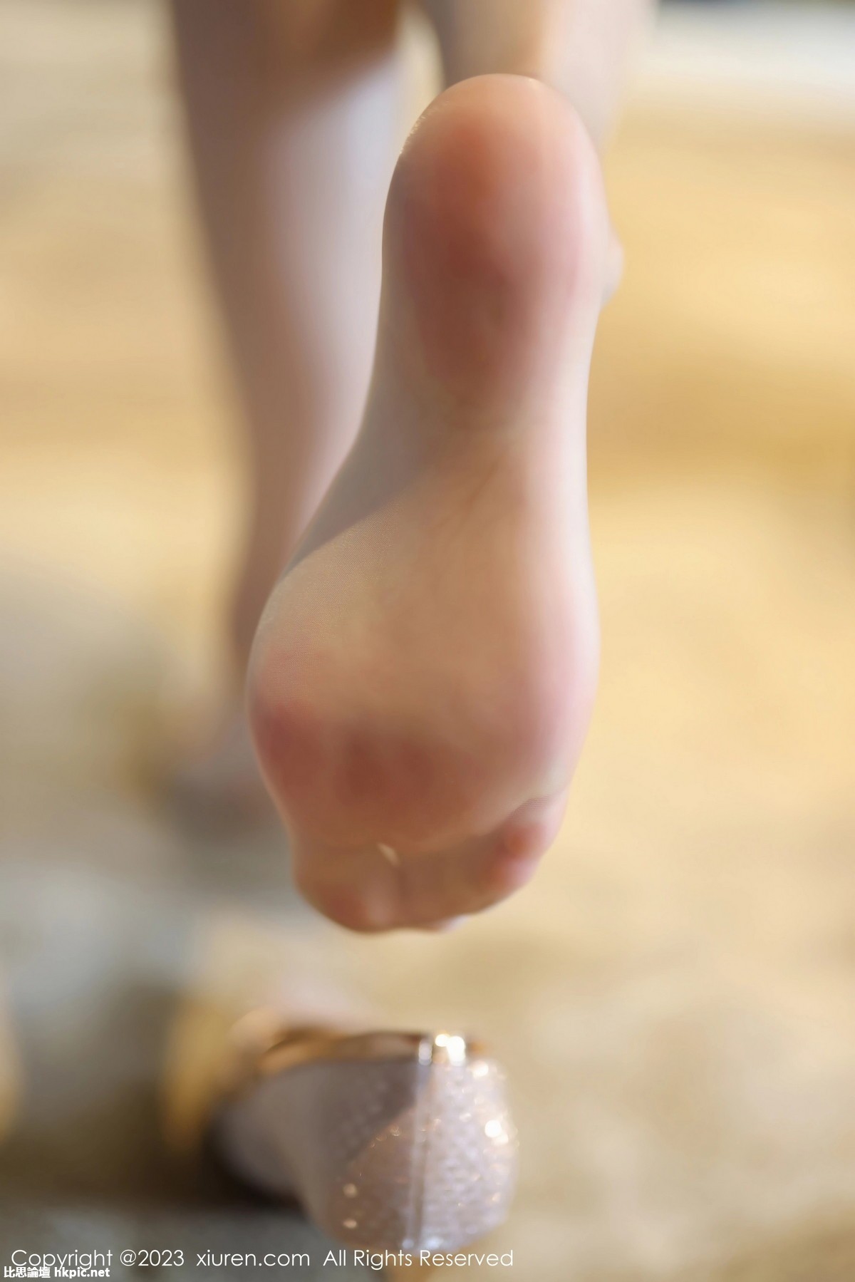 【XiuRen秀人網】20231123Vol7709夢心玥【88P】-XIUREN秀人网