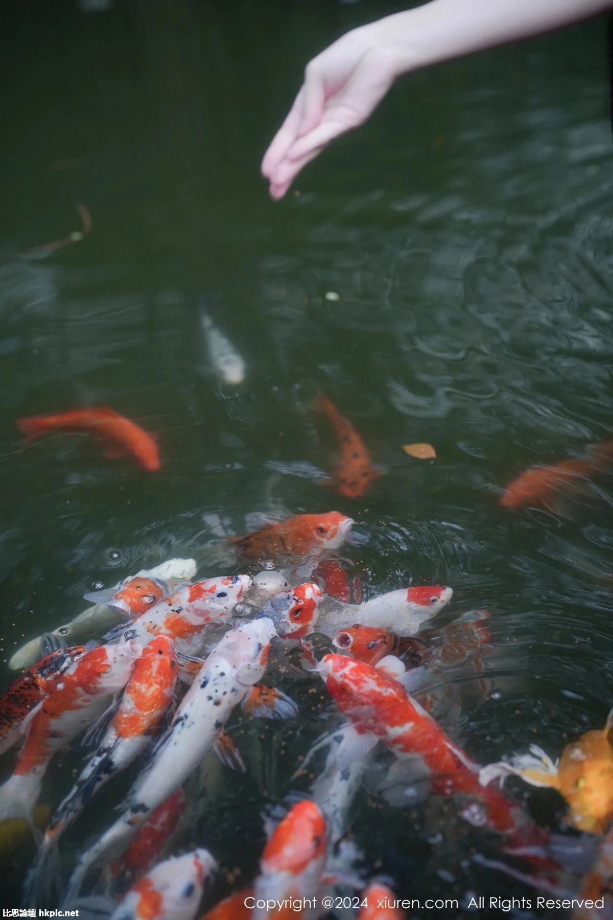 【XiuRen秀人網】20240122Vol7996伊雪兒【58P】-XIUREN秀人网